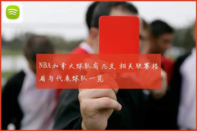 NBA加拿大球队有几支 相关联赛格局与代表球队一览