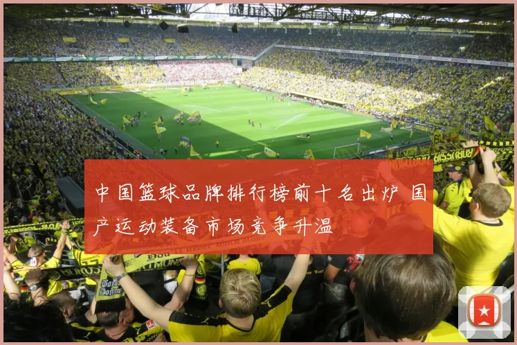 中国篮球品牌排行榜前十名出炉 国产运动装备市场竞争升温
