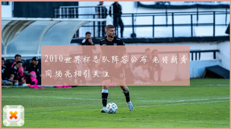 2010世界杯各队阵容公布 老将新秀同场亮相引关注
