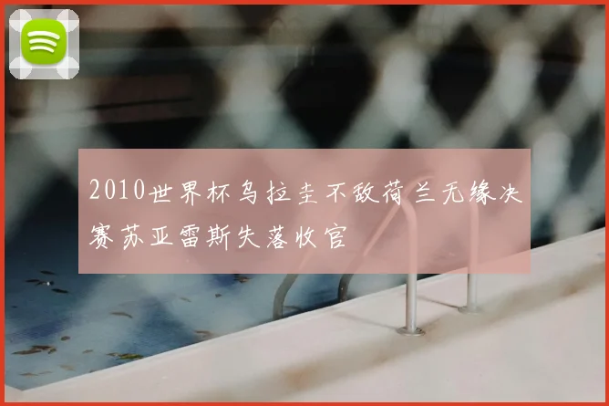2010世界杯乌拉圭不敌荷兰无缘决赛苏亚雷斯失落收官