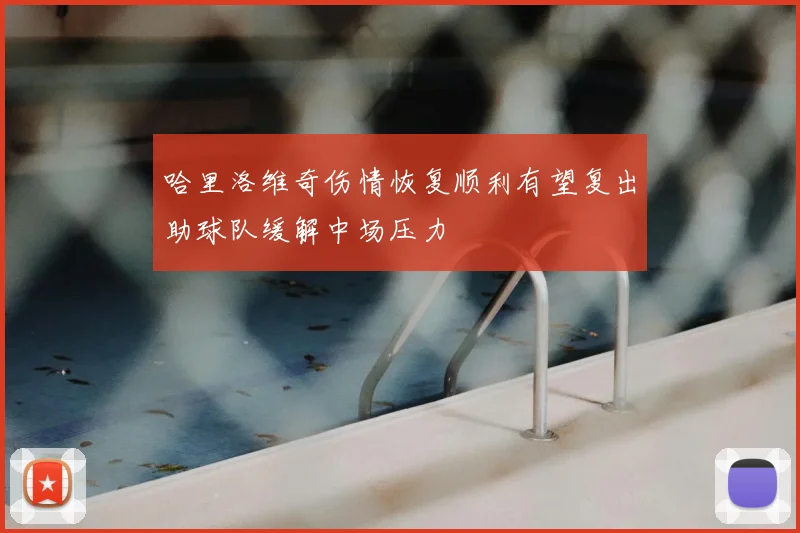 哈里洛维奇伤情恢复顺利有望复出助球队缓解中场压力
