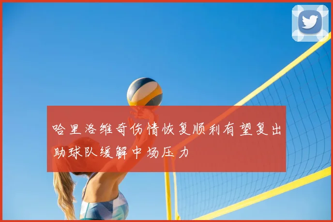 哈里洛维奇伤情恢复顺利有望复出助球队缓解中场压力